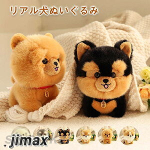 ʂ݁@ʁ@Ck@ ӂӂ@@@NbV@ CeA@YQ @  @ 킢@aMtg Mtg