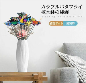 y4`12cmz K[fI[ig 50{ Jto^tC sbN u |u 嚒 H΂ | A  둕 ̐A̓|bg G AEghA K[ffR[