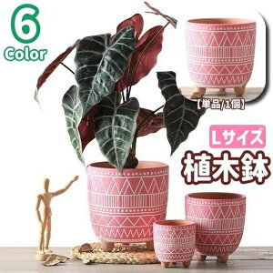 �������� �A�ؔ� ���A�� �v�����^�[ �t�����[�|�b�g ���� ���|�p�i �r���� �ꌊ �ʋC�� �Ԃ��� ���y �K�[�f�j���O �����A�� �C���e���A �f�Ă��� ���g���ȐA�ؔ� �􉽊w�͗l ���g���� ������