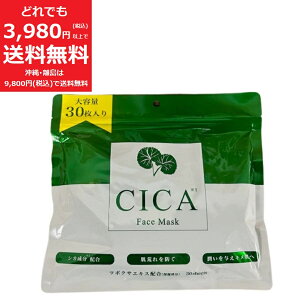 CICA tFCX }XN 30 pbN e ێ c{NT GLX z { VJ MASK V[g}XN V[gpbN