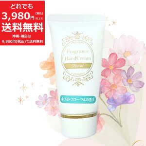 tOX nhN[ qzCgt[̍r20g KNg~ZX iCAVA~h  ^ ֗