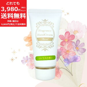 tOX nhN[ qVgX̍r20g KNg~ZX iCAVA~h  ^ ֗