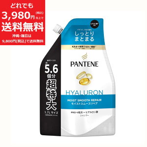 �p���e�[�� ���C�X�g�X���[�X�P�A �V�����v�[ 1.7L �l�ߑւ��p