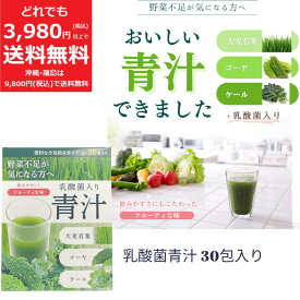 乳酸菌入り 青汁 90g（3g×30包） 【参考価格2700円】※賞味期限2027.12.31 分包 粉末タイプ