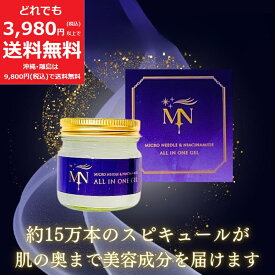 マイクロ ニードル オールインワン ジェル ゲル【定価13,200円】 75g ナイアシン アミド 保湿 プラセンタ ヒアルロン酸 コラーゲン