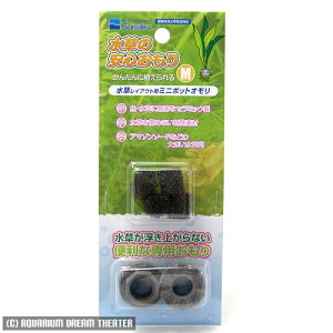 yz[֔  ̈S M 2 y CAEgpiz EEws