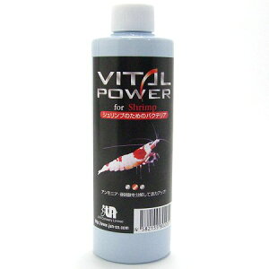 yz Vv̂߂̃oNeA 250ml EEws