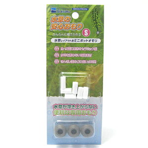 yz[֔ pCAEgpi  ̈S S EEws