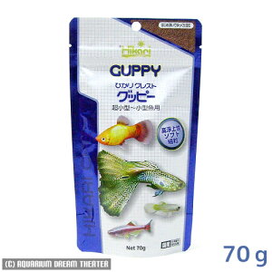 yz[֔ ЂNXg Obs[ X^hpbN 70gyObs[̂z EEws