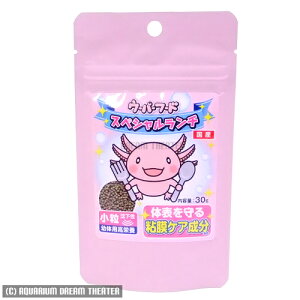 yz[֔ j`hE E[p[t[h XyV`  30g yE[p[[p[̃GTz EEws