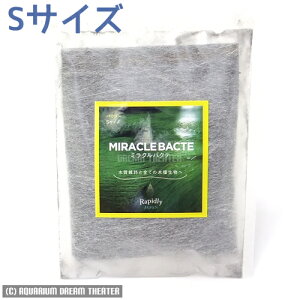 yzǐՉ\[֔ ~NoNe pE_[ STCY oNeA ws