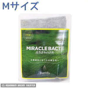 yzǐՉ\[֔ ~NoNe pE_[ MTCY oNeA ws