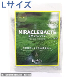 yzǐՉ\[֔ ~NoNe pE_[ LTCY oNeA ws