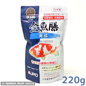 V 琬 220g 㐫 ̃GT 񂬂̉a