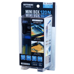 yz RguL ~j{bNX120N tB^[ EEws