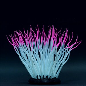 J~n^ 񂿂Ⴍ M sN CAEg I[ig