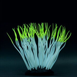 J~n^ 񂿂Ⴍ L CG[ CAEg I[ig