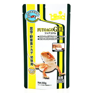 ǐՉ\[֔ y4܂OKzЂ tgASQ 60g ytgASqQgJQ GHgJQz