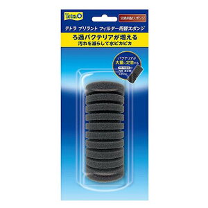 �y���������z ��`�O���� �e�g�� �u�������g�t�B���^�[�p �փX�|���W�y �����w��s�z