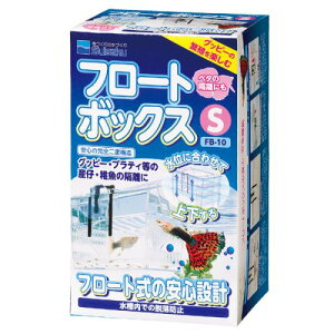 yz `O t[g{bNX Y FB-10y wsz