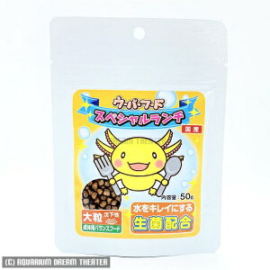 yz[֔ j`hE E[p[t[h XyV` 嗱 50g yE[p[[p[̃GTz EEws