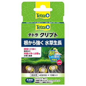 yzǐՉ\[֔ p엿 eg Nvg 10y wsz