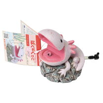 楽天市場】ウーパールーパー 飼育セットの通販