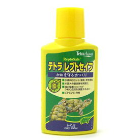 楽天市場 ゼニガメ 生体 熱帯魚 アクアリウム ペット ペットグッズ の通販