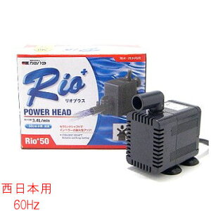 J~n^ Rio+ IvXp[wbh50 60Hz {p