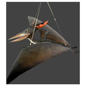 xr[EvemhijtBMAigtBMAj