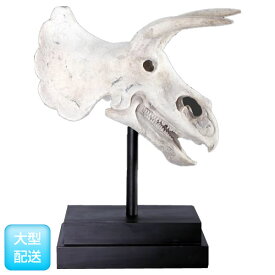 トリケラトプスの頭蓋骨　フィギュア（恐竜等身大フィギュア）