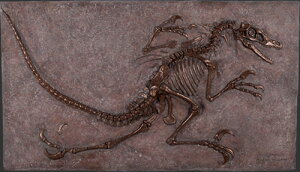 FLvg̉΁EuY@gtBMAigtBMAj