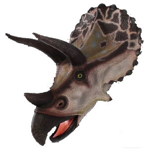 gPgvX@wbhErbOtBMAiǊ|^Cvj