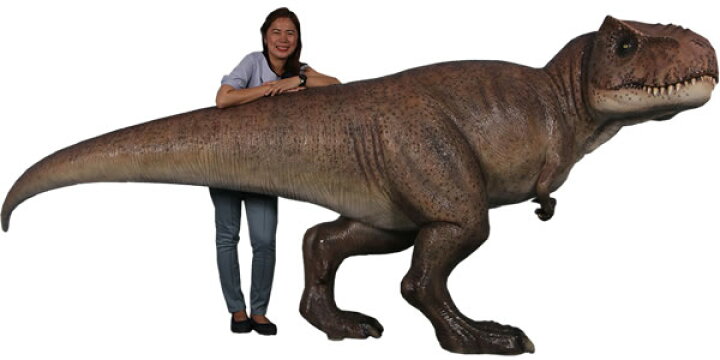 楽天市場 長さ 337cm ティラノサウルス T Rex 中型 フィギュア 恐竜等身大フィギュア ドリームフィギュア 楽天市場店