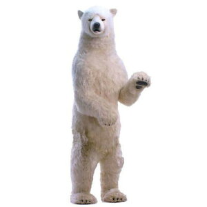 Aj}rbOtBMAHANSAʂ݁y VN} iF260cm)zigtBMAj