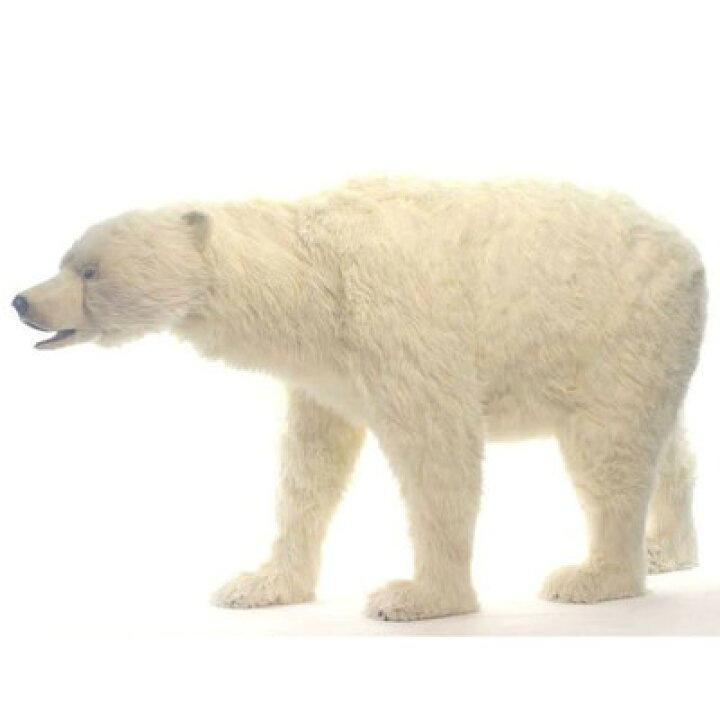 楽天市場 アニマルビッグフィギュアｈａｎｓａぬいぐるみ 歩く シロクマ 全長 240cm 等身大フィギュア ドリームフィギュア 楽天市場店