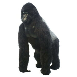 �A�j�}���r�b�O�t�B�M���AHANSA�ʂ�����݁y�V���o�[�o�b�N�E�S�����i�����F160cm)�z�i���g��t�B�M���A�j