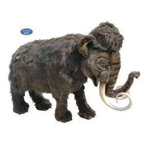 Aj}rbOtBMAHANSAʂ݁y}XEiSF200cm)zigtBMAj