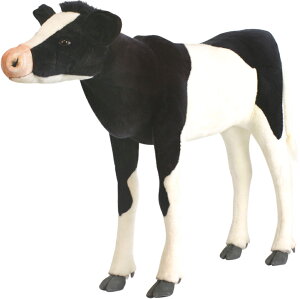 Aj}rbOtBMAHANSAʂ݁yt[WAiEVjSF125cm zigtBMAj