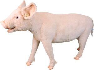 Aj}rbOtBMAHANSAʂ݁yXc[ ֎q u^i) zigtBMAj@^îߕʓr܂Bɂm点v܂B