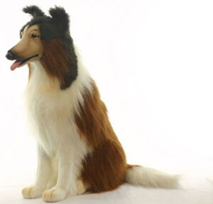 Aj}rbOtBMAHANSAʂ݁yR[ij F75cm zigtBMAj