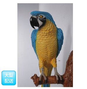 Aj}rbOtBMAV[YyIE(Ǌ|p)CG[&u[ zigtBMAj