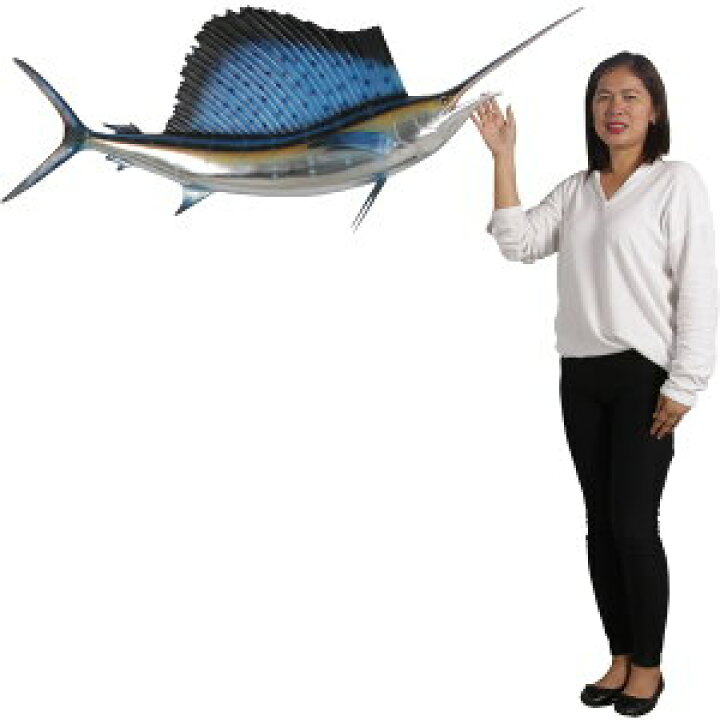 楽天市場】全長1.6m！バショウカジキ Sailfish 特大壁掛けフィギュア 