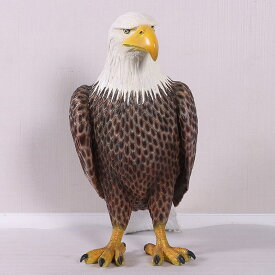 アニマルビッグフィギュアシリーズ【アメリカン　ボールド　イーグル（ハクトウワシ）】