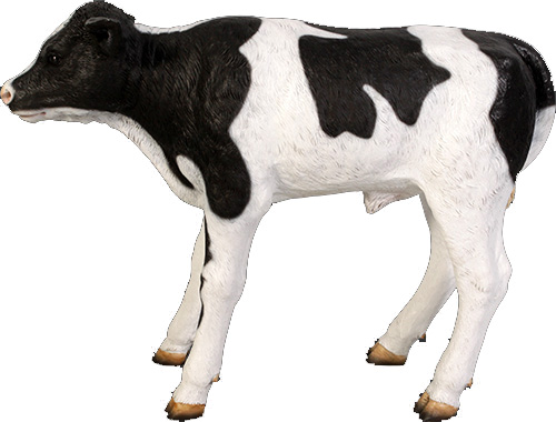 メーカー直売 全長88cm等身大 子牛の乳牛 アニマルビッグフィギュアシリーズ ストア ウシ 乳牛 等身大フィギュア 小さな乳牛F