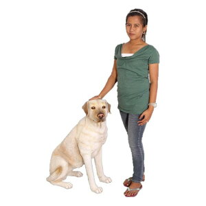 Aj}rbOtBMAV[Yyaȁ@uh[zigtBMAj