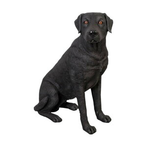 Aj}rbOtBMAV[Yyaȁ@uh[zigtBMAj