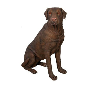 Aj}rbOtBMAV[Yyaȁ@uh[zigtBMAj