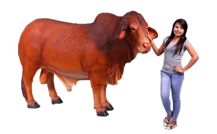 楽天市場 アニマルビッグフィギュアシリーズ ドラフトマスター 雄牛 等身大フィギュア ドリームフィギュア 楽天市場店