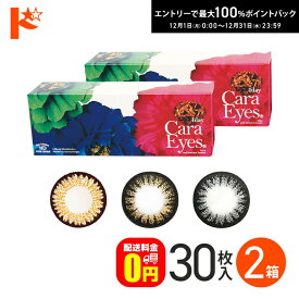最大100%ポイントバック！12/31の23:59まで♪【送料無料】ワンデーキャラアイ コンタクトレンズ 10枚入 2箱セット 1日使い捨てカラコン